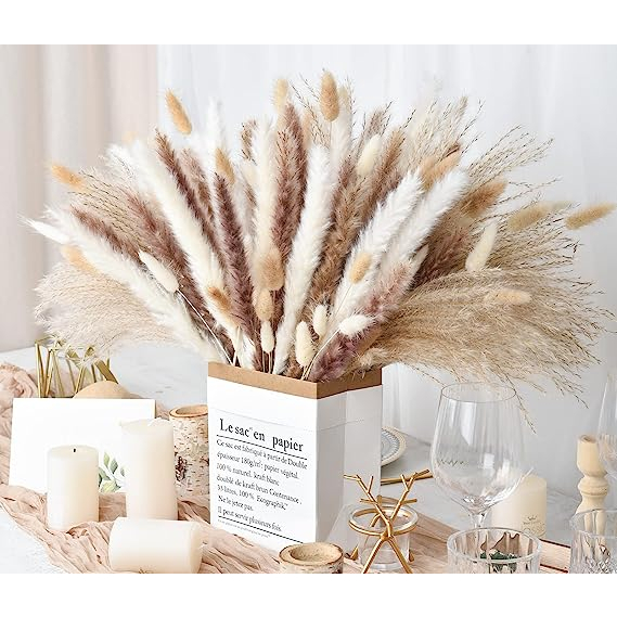 Hoa khô vintage: Lau pamspas, Sậy, Cỏ đuôi thỏ, Cúc nút áo