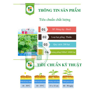 Hạt giống rau thơm húng tây (Basil)