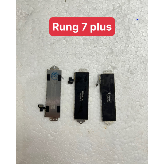 Rung 7 plus