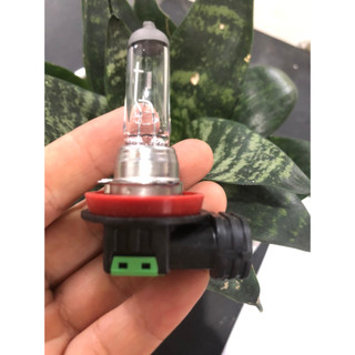 Bóng h11 12v 55w con cú cho xe ô tô