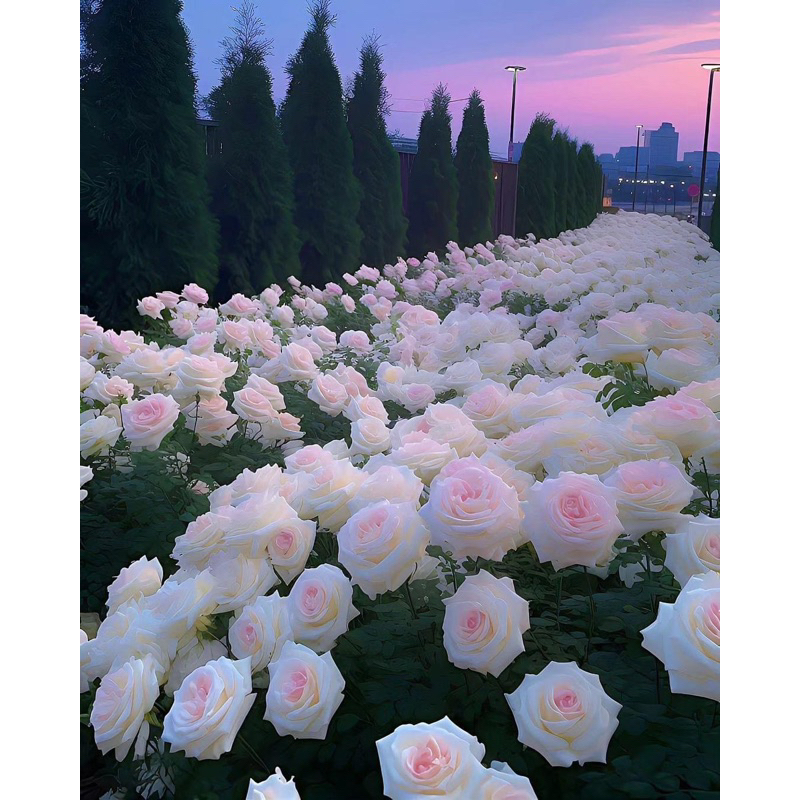 Chen.room Đầm hoa 3D tay phồng Yedda tiểu thư nhẹ nhàng, váy đầm xinh nhà Chen