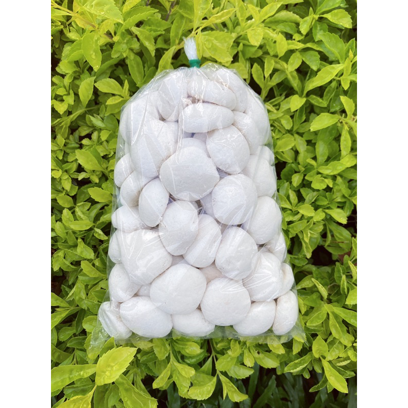 65 cái bánh bao sữa trắng giá chỉ 29k