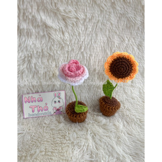 [ Handmade] Chậu Hoa Len Mini trang trí