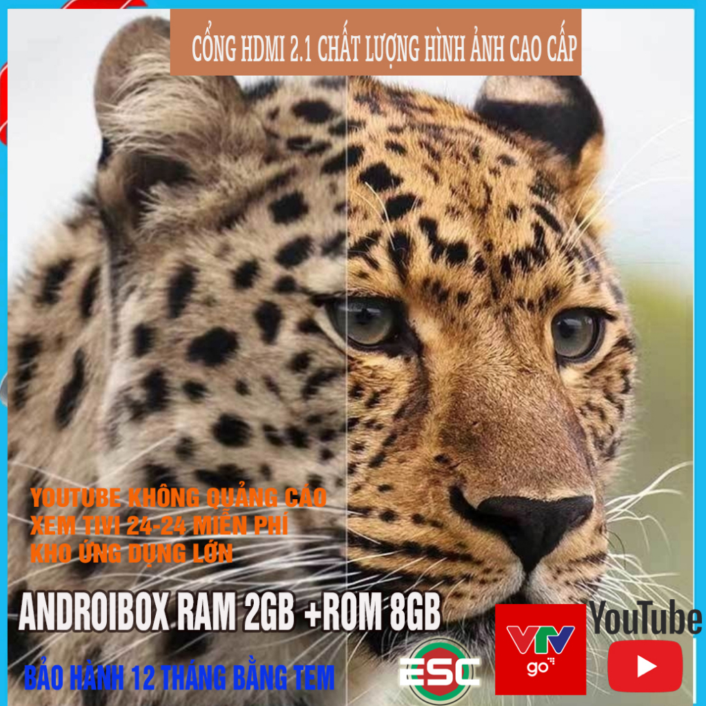 Android TV Box 4K bản 2G+8GB MỚI  Android  Đã cài sãn 300 kênh, YouTube không quảng cáo, Chorme bản cáp mạng LAN...vv