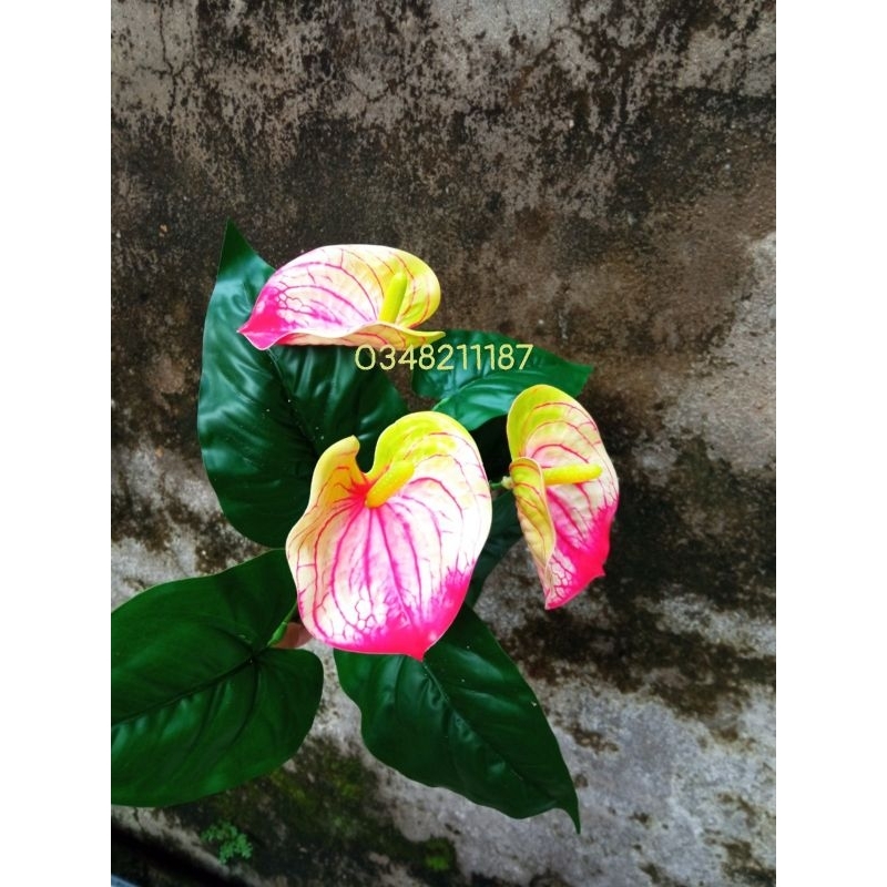 Cây giả - Cây hồng môn 3 bông , cao 40 cm Trang Trí Nhà Cửa, Cắm Hoa Để Bàn.