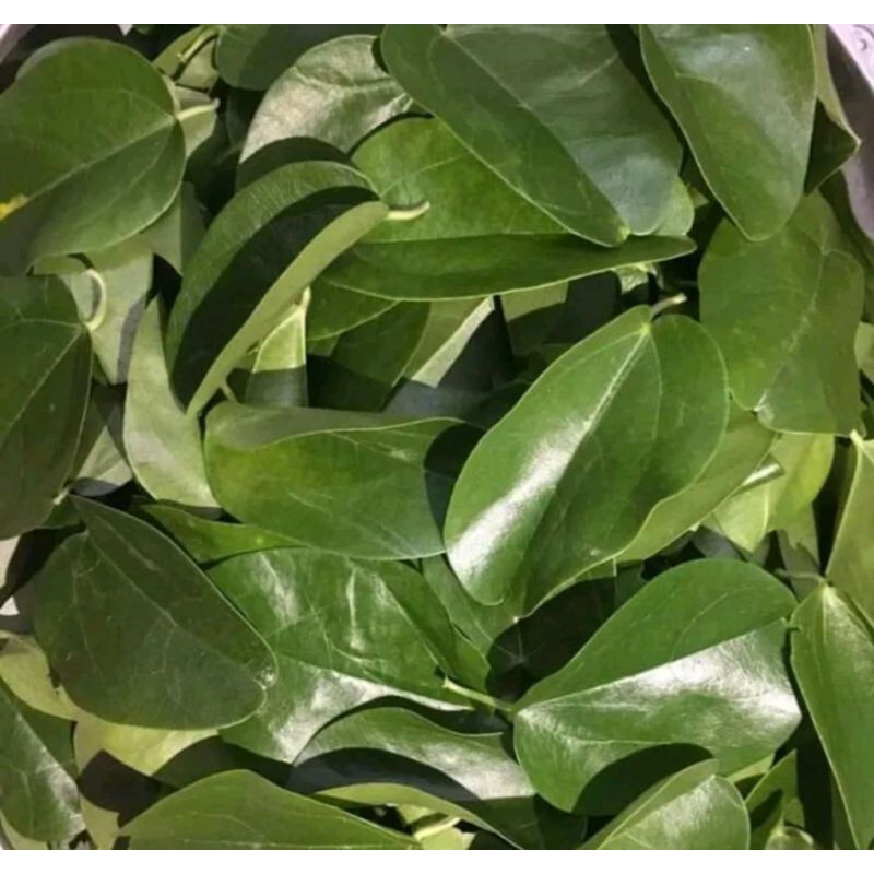 500gr Lá sâm tươi