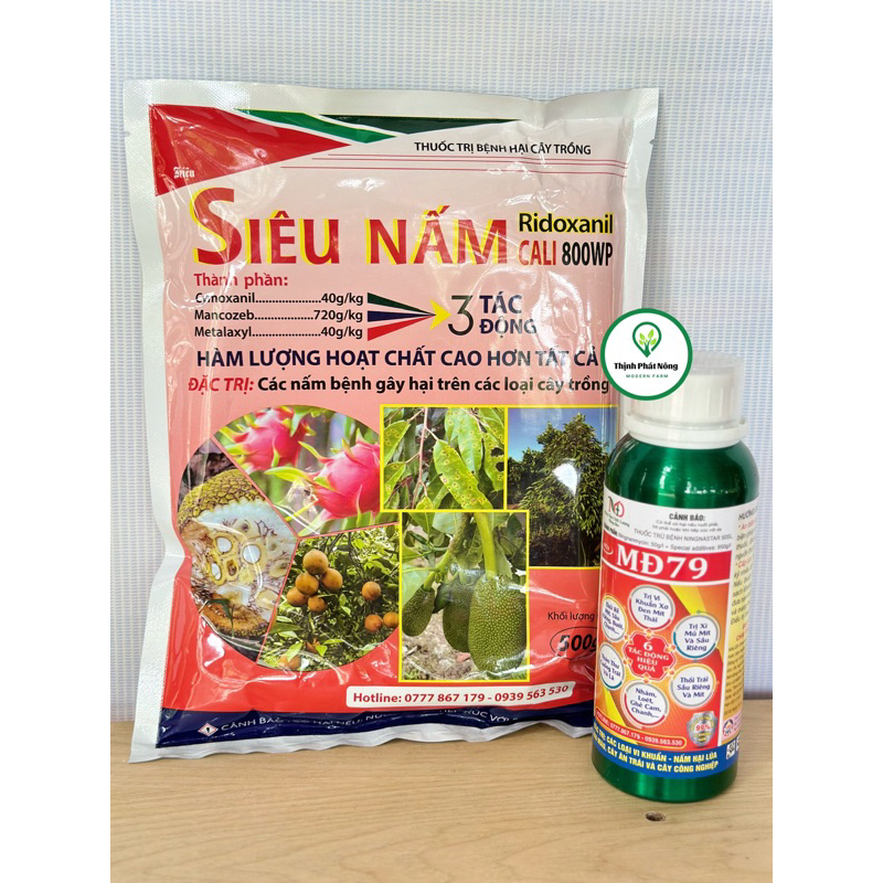 Siêu nấm và siêu khuẩn md79 thế hệ mới cho mít thái siêu sớm