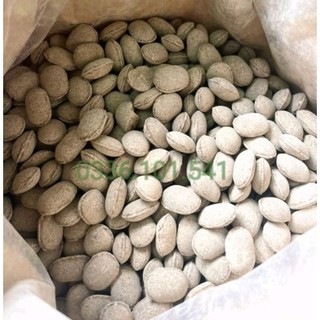 Gói 1kg phân tan chậm hạt bàng nhật 12-6-6 bón hoa lan, cây cảnh bonsai