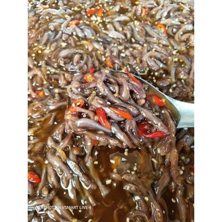 💥💥MẮM CÁ TRÈN. 1kg (giao hỏa tốc)