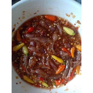 💥💥MẮM CÁ TRÈN. 1kg (giao hỏa tốc)