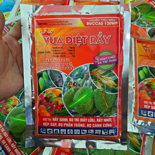 VUA DIỆT RẦY (gói 100g) Diệt rầy xanh, rầy lửa, rầy nhớt, rệp sáp, bọ phấn trắng, bọ cánh cứng