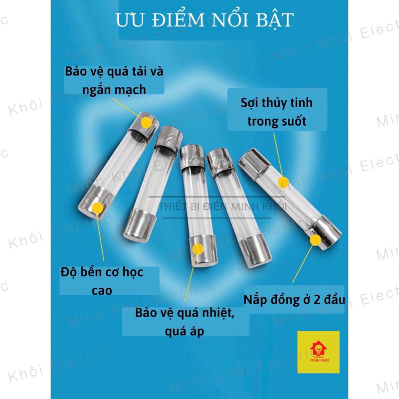 Bộ 10 Cầu Chì Ống Thủy tinh 250v 5x20mm và 6x30mm các loại