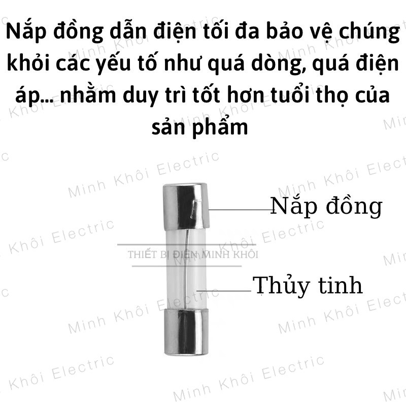 Bộ 10 Cầu Chì Ống Thủy tinh 250v 5x20mm và 6x30mm các loại
