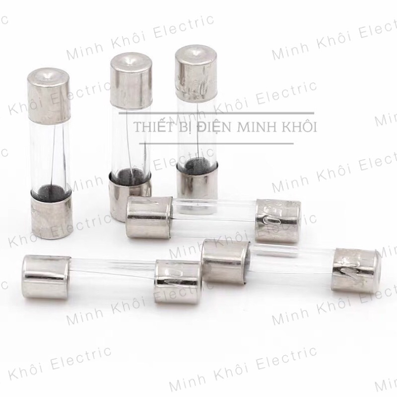 Bộ 10 Cầu Chì Ống Thủy tinh 250v 5x20mm và 6x30mm các loại