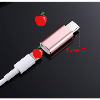 Combo 2 đầu chuyển đổi sang Type C