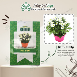 Hạt giống Hoa Cúc Mini Trắng, Nhụy Vàng Thích Hợp Trồng Mùa Tết - Green House