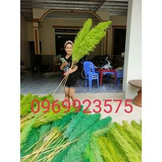 Bông lau xù loại to nhuộm màu