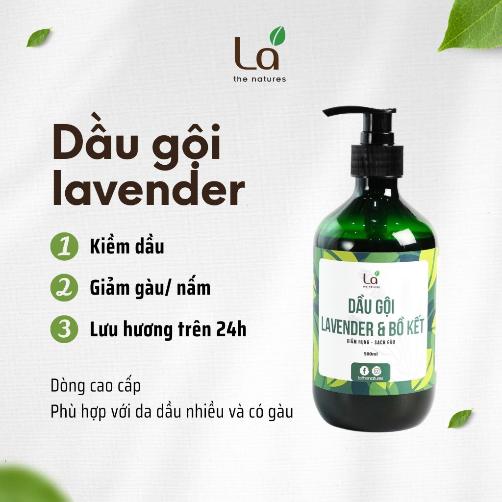 Dầu Gội Lavender Bồ Kết Handmade Hương Thơm Ngọt Ngào Sang Trọng. Sạch Gàu, Nấm, Ngứa. Giảm Rụng & Kích Thích Mọc Tóc.