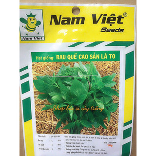 10 gram hạt giống rau húng quế cao sản lá to dễ trồng