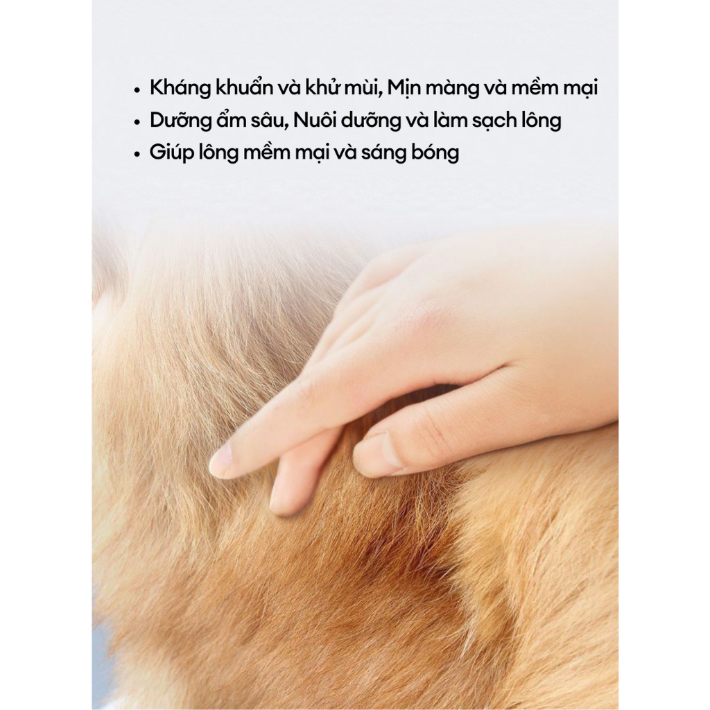 Sữa tắm dành cho chó Corgi dưỡng lông sáng lông khử mùi hôi chai 500ml Mooki Pet