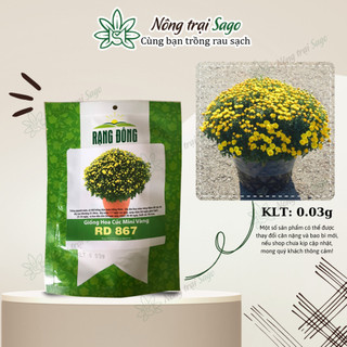 Hạt giống Hoa Cúc Mini Vàng (Cúc Mâm Xôi) Trồng Chậu, Thích Hợp Vào Mùa Tết - Green House