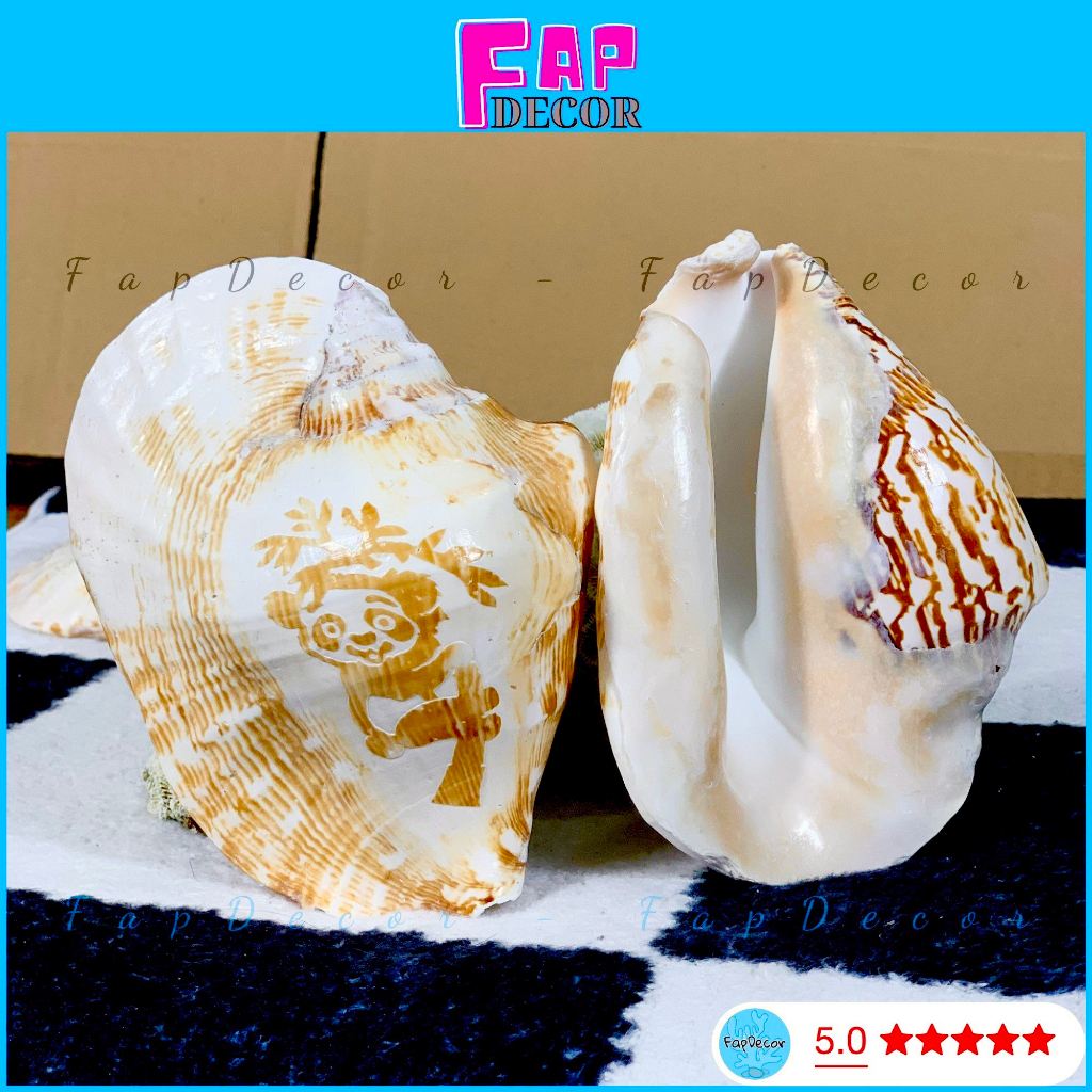 VỎ ỐC TAI PHẬT XÀ CỪ PHONG THỦY ĐIÊU KHẮC GẤU TRÚC CAO CẤP, TRANG TRÍ THỦY SINH LÀM ĐỒ TRANG TRÍ NHÀ CỬA - FAPDECOR