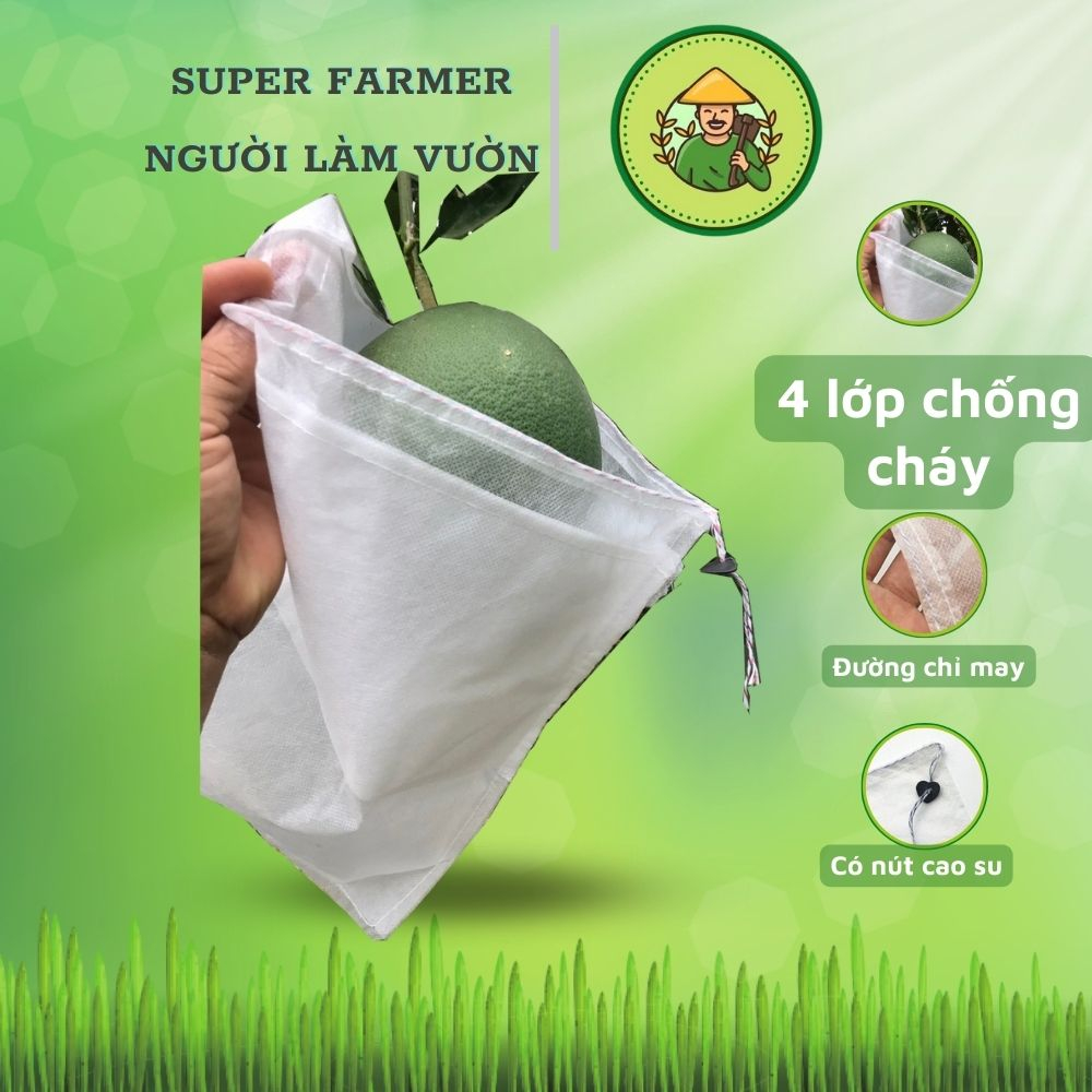 Túi Bọc Trái Cây Bưởi Da Xanh 4 Lớp chống cháy nắng   - Người Làm Vườn