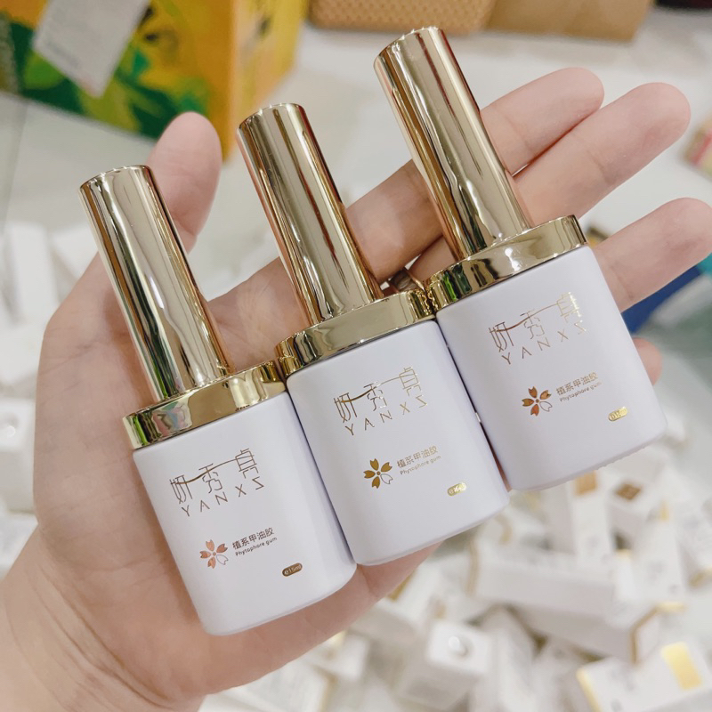 Bộ đôi thần thánh Base Top YANXZ Liên Kết và Bóng siêu bền siêu bóng