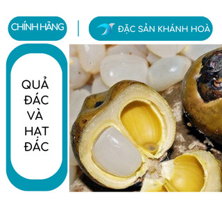 Hạt đác tươi dẻo nha trang 1kg hột đác ngon đặc sản khánh hòa