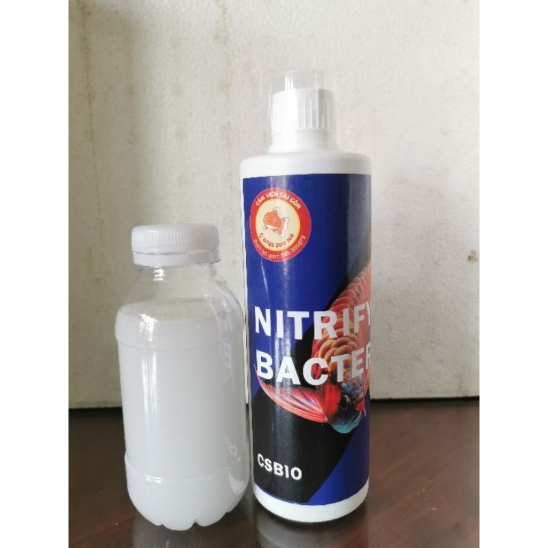 Vi sinh cao cấp cá cảnh CSBIO hạn sử dụng 500ml  14/2/2025