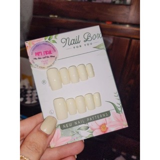 Nailbox sơn trơn