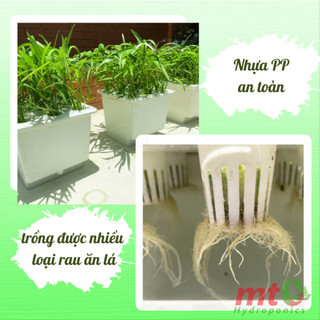 Bộ 12 thùng thủy canh tĩnh và hồi lưu 9 rọ trồng rau ăn lá - phiên bản mới