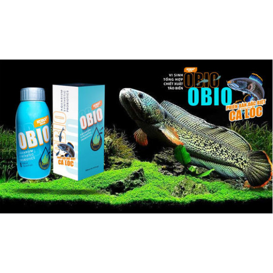 Vi sinh KOIKA OBIO  30 - 180 - 300ml