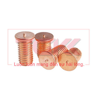 Bulong hàn tiếp địa đồng M5