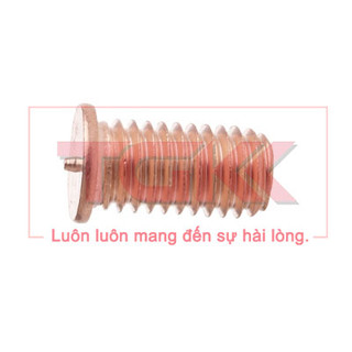 Bulong hàn tiếp địa đồng M5