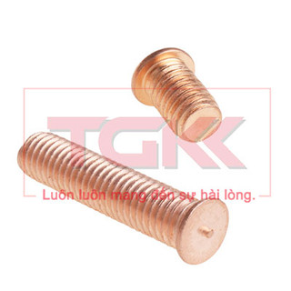 Bulong hàn tiếp địa đồng M5
