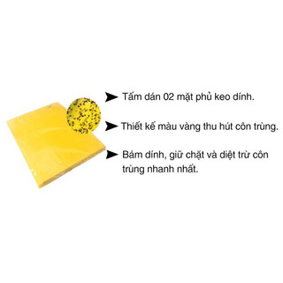 Miếng dán bẫy côn trùng - bẫy ruồi vàng và bọ trĩ size 20x25cm 1 miếng