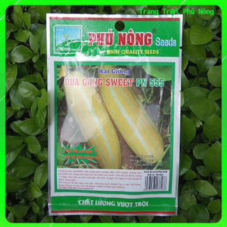 Hạt Giống Dưa Gang Sweet PN-555 Phú Nông - Gói 1g