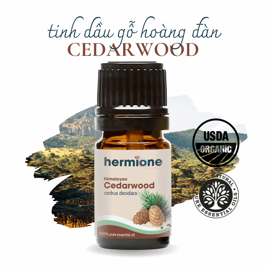 Tinh Dầu Thơm Phòng Hoàng Đàn Cedarwood Hermione Natural Life, Xông Thơm Phòng