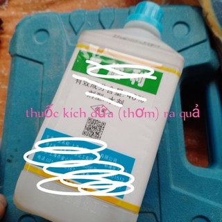 Thuốc kích ra quả dứa, khóm, thơm