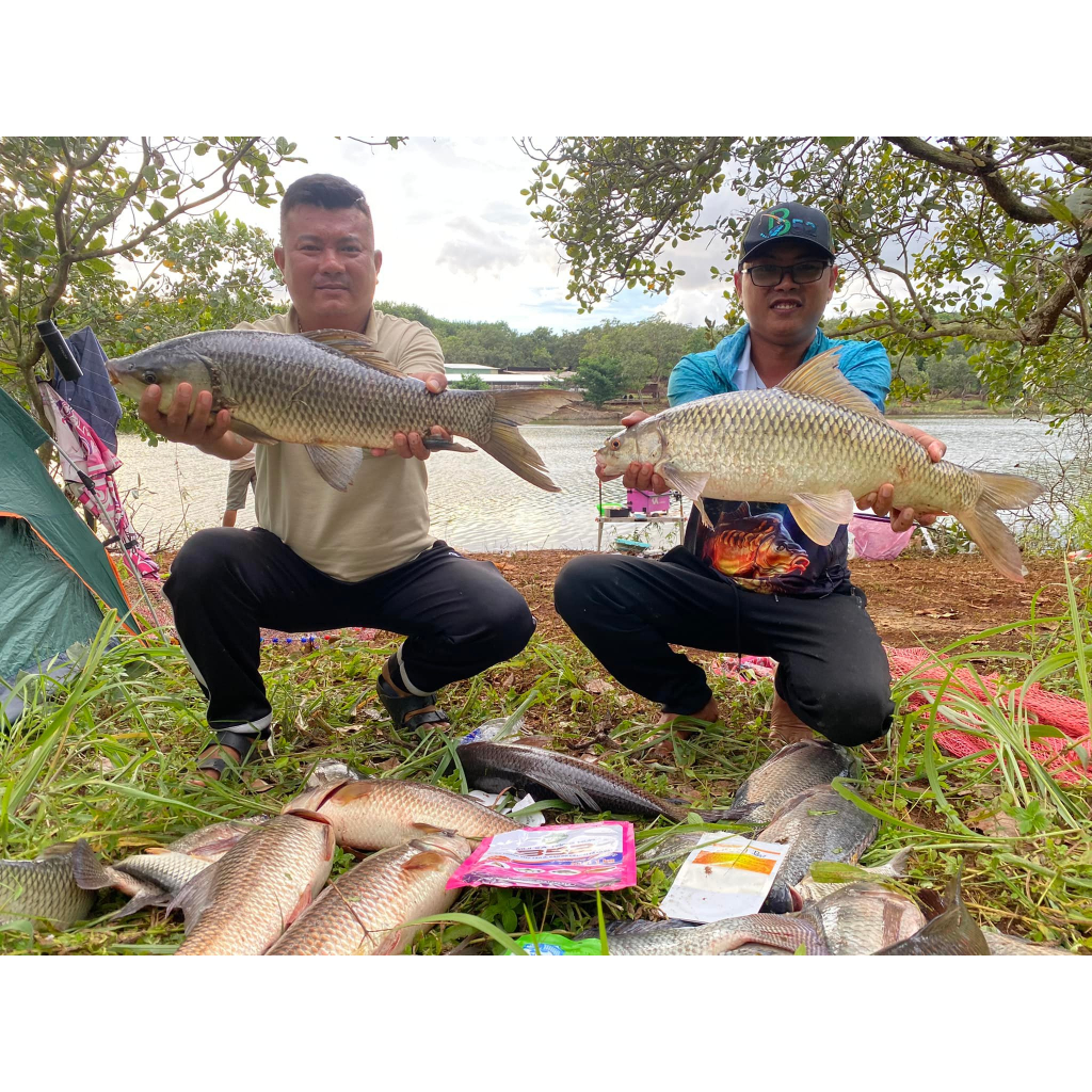 Mồi Câu Siêu Dụ - Gia Vị Thơm