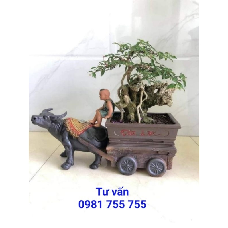 Chậu Tượng Trâu Kéo Xe,Chậu Trồng Cây Bonsai,tiểu cảnh Gốm Bát Tràng Cao Cấp