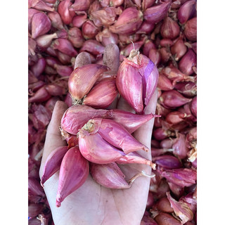 Hành tím Lý Sơn loại 500g, 1kg đóng gói túi lưới -Chigo farm
