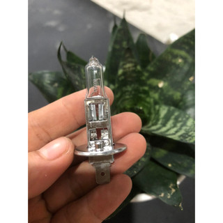 Bóng h1 con cú 12v 24v 70w 55w cho xe ô tô