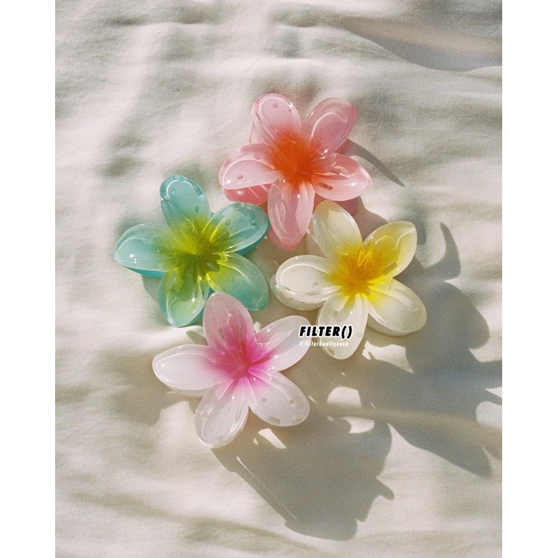 Hibiscus hair claw - Kẹp tóc bông hoa