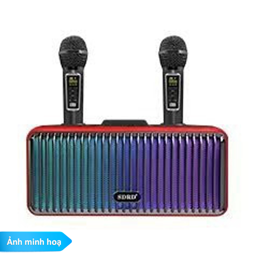 Loa bluetooth karaoke SDRD SD319 Pro (kèm 2 mic) - Bảo hành 6 tháng