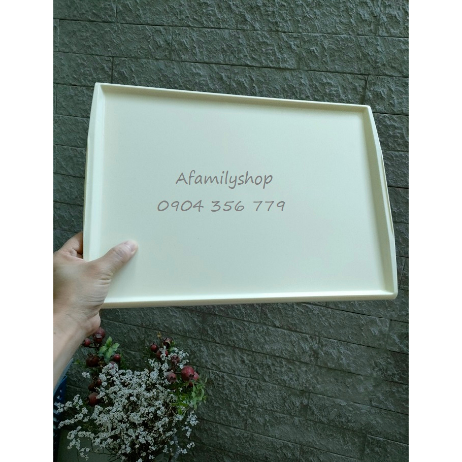 Khay nhựa hàng không