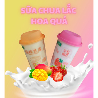 Sữa chua lắc hoa quả kèm chân trâu Hongzi cốc 450gr