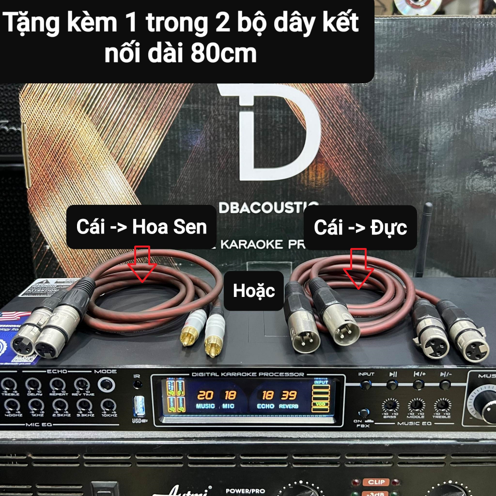 Vang cơ lai số DB Acoustic KM-350PRO: Hàng chính hãng, Âm thanh sạch, sáng tiếng, Tặng kèm 2 dây Canon kết nối