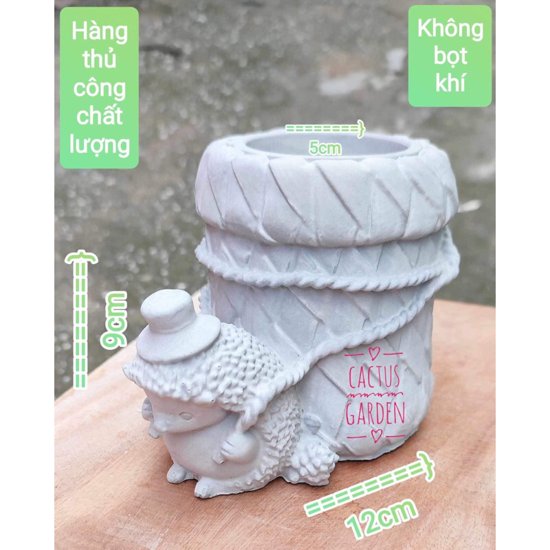chậu bé nhím chăm chỉ